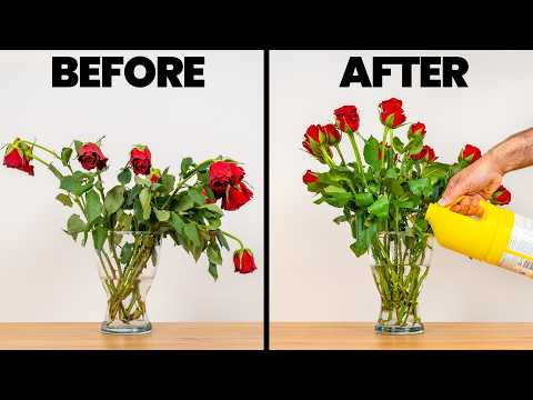 Greatest Flower Supply Services 2026